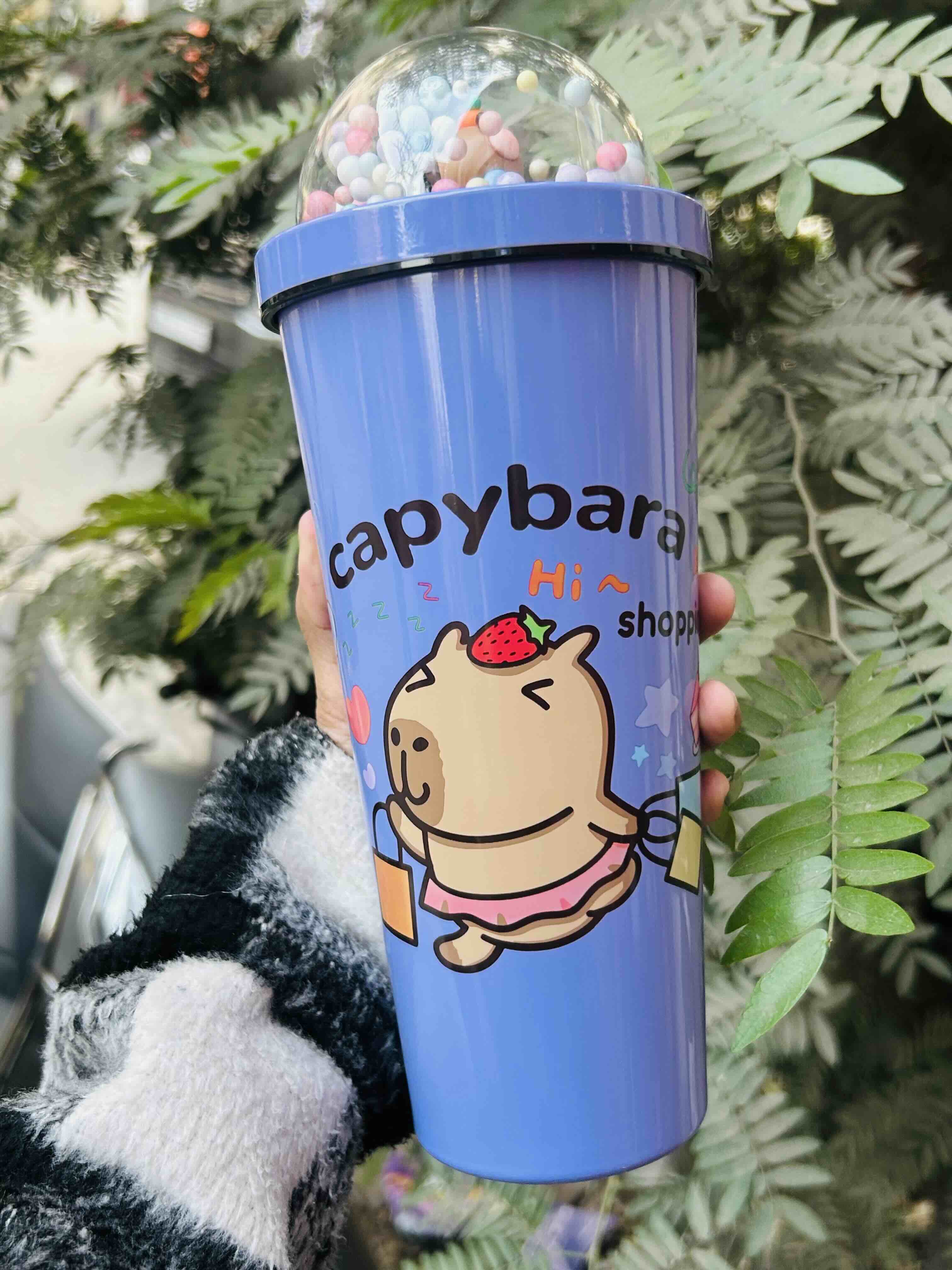 Capybara Dome Tumbler with Straw