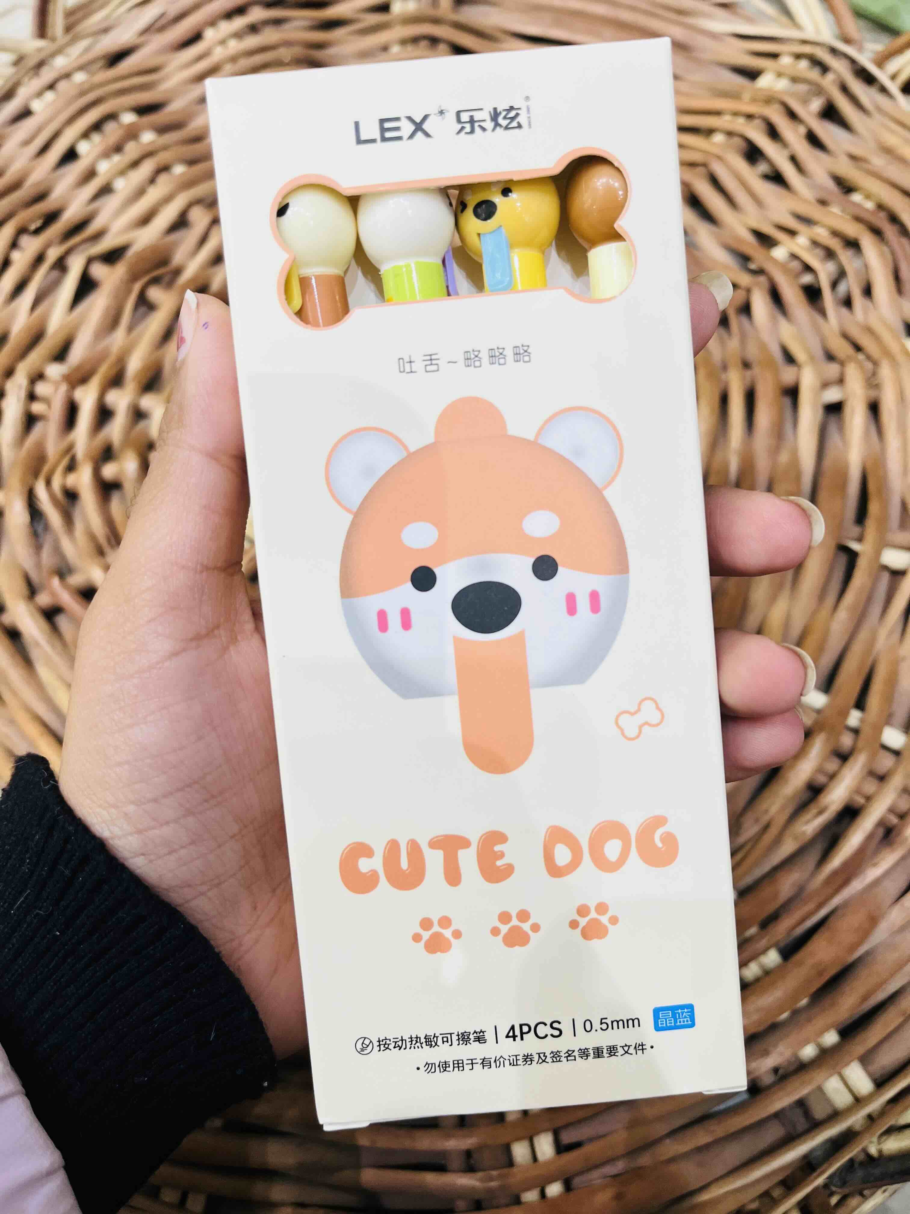 Bear Erasable Pen Set